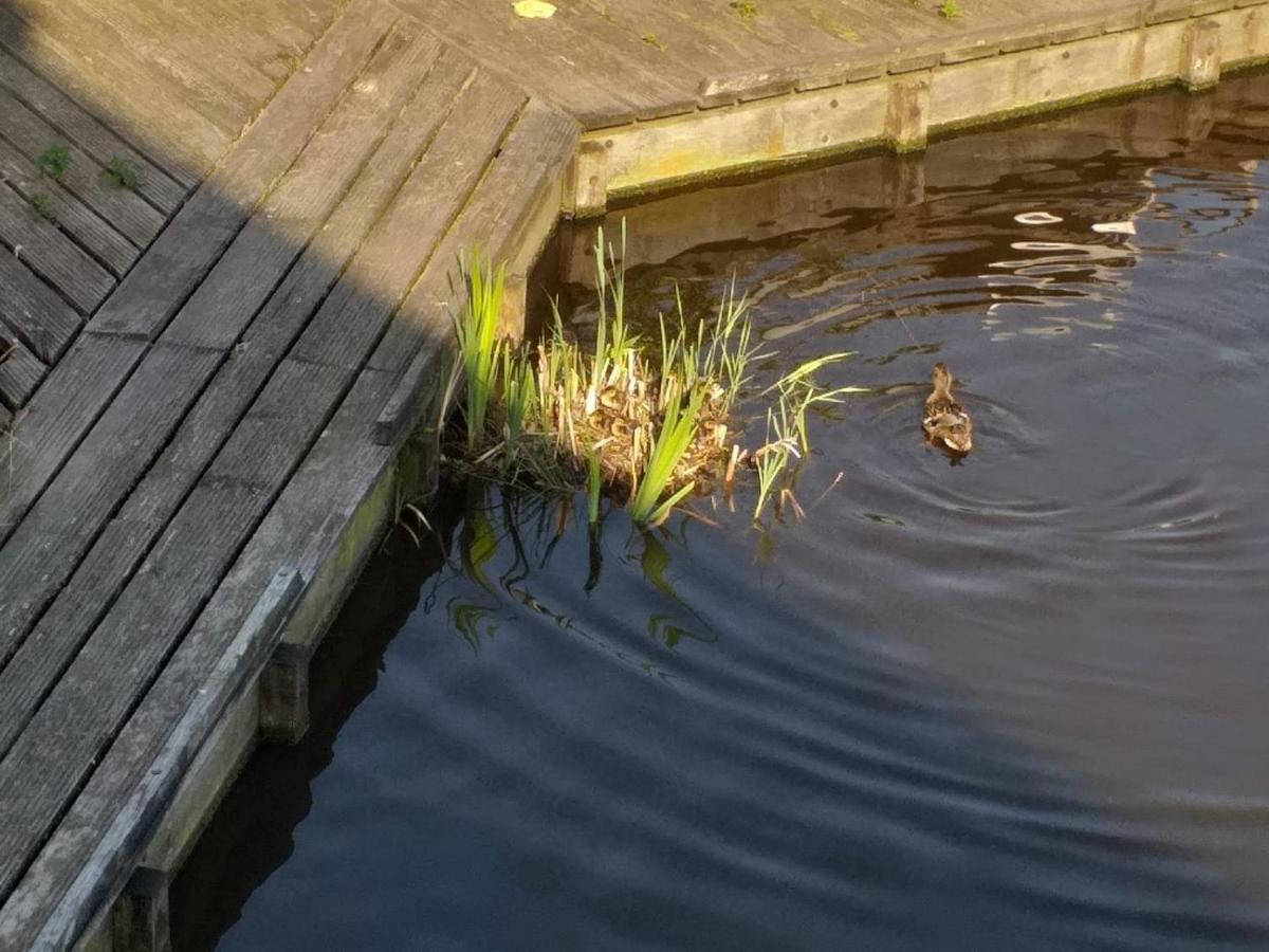 Huisje Aan Het Water, Omgeving Amsterdam Βίλα Ζάανταμ Εξωτερικό φωτογραφία