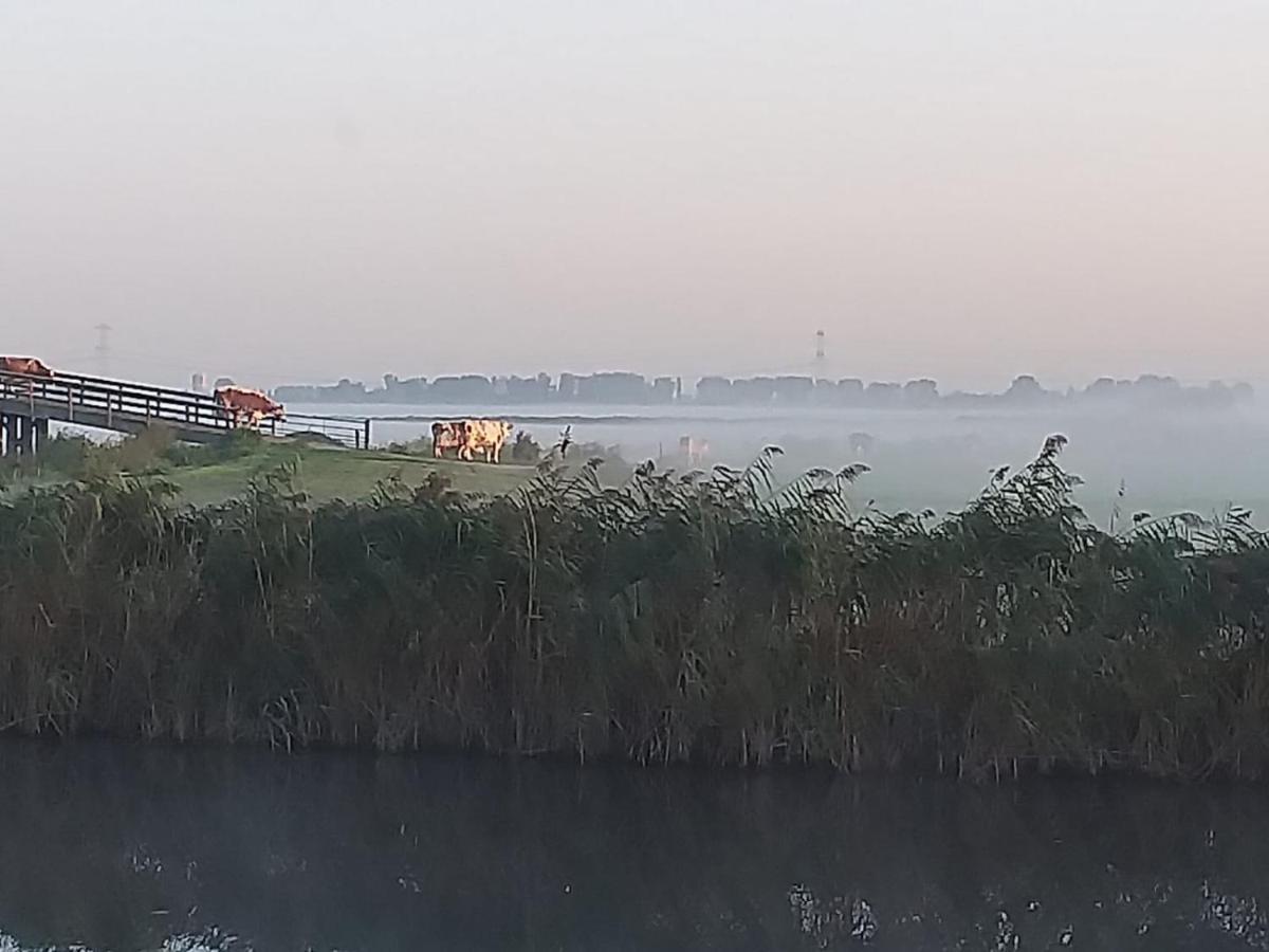 Huisje Aan Het Water, Omgeving Amsterdam Βίλα Ζάανταμ Εξωτερικό φωτογραφία